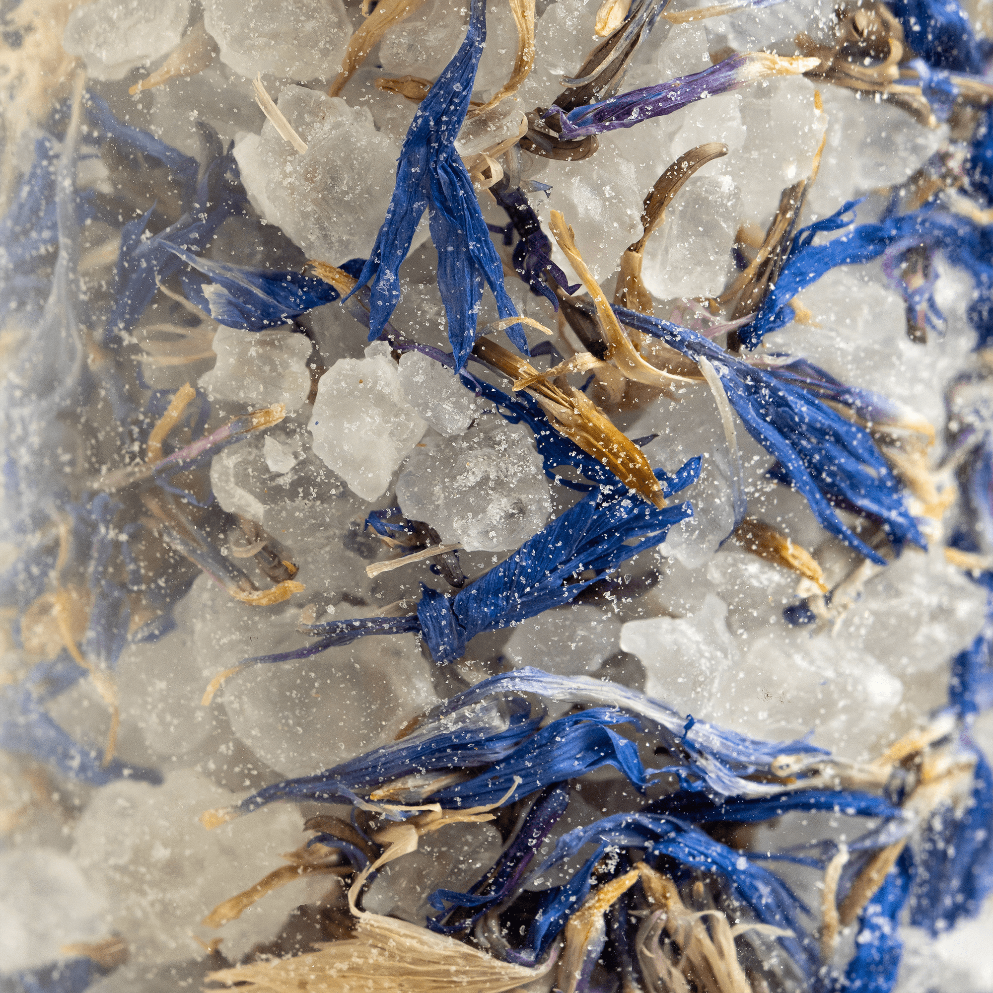 FCL Salz - FCL Fanshop