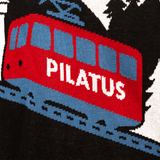 FCL Weihnachtspullover - FCL Fanshop